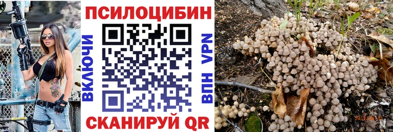 как найти   Сосногорск  Псилоцибиновые грибы Psilocybe 
